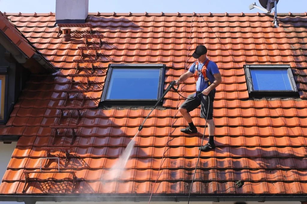 roof cleaning auckland