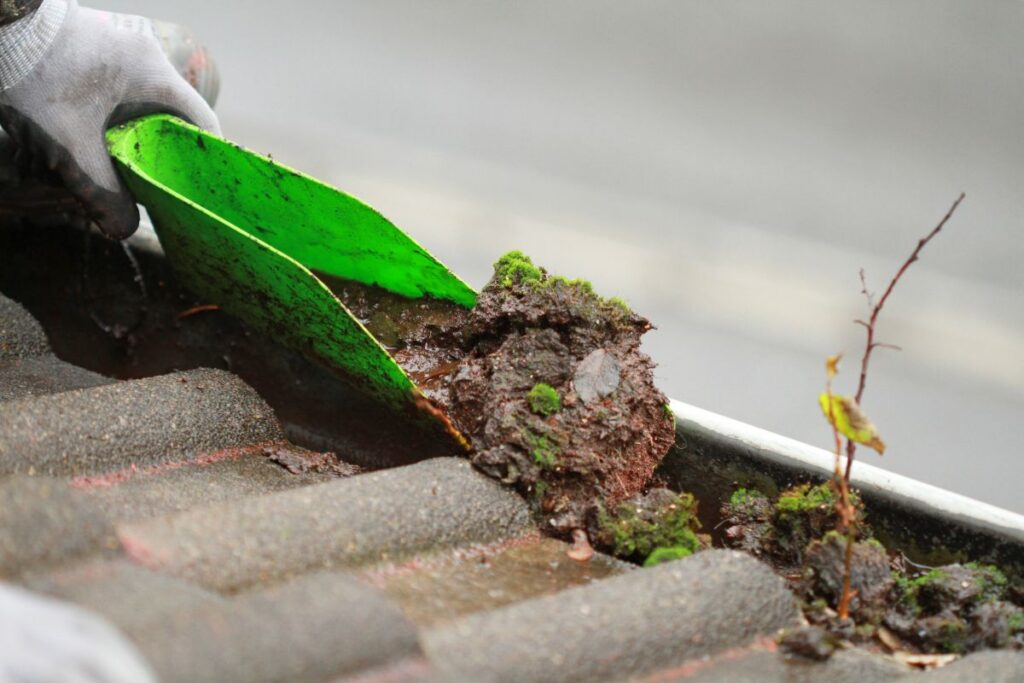 Clean Your Gutters