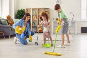 DIY vs. Professional House Washing