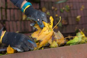 Dangers of Clogged Gutters