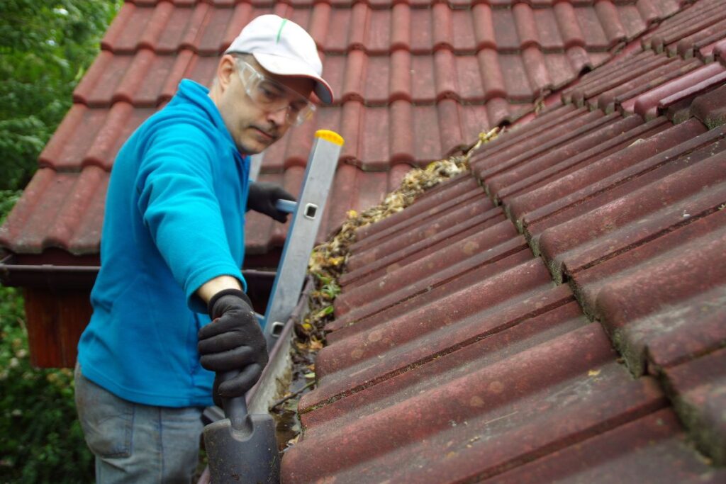 Gutter Cleaning