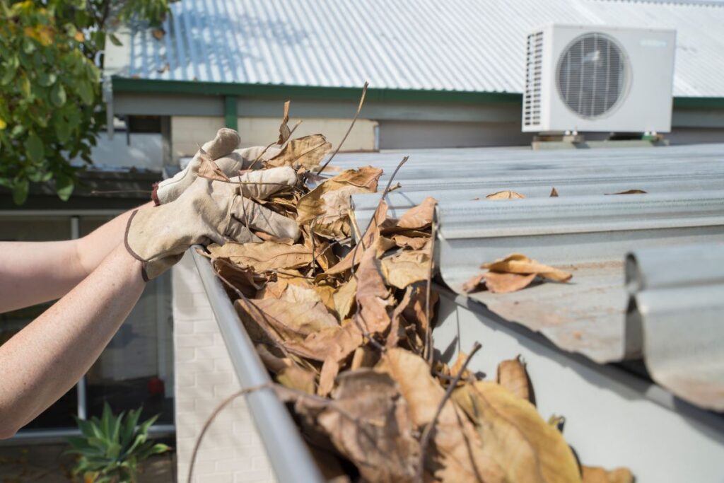 Gutter Cleaning Service