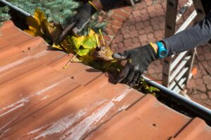 Gutter Cleaning and Roof Health