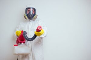 House Washing in Pest Prevention