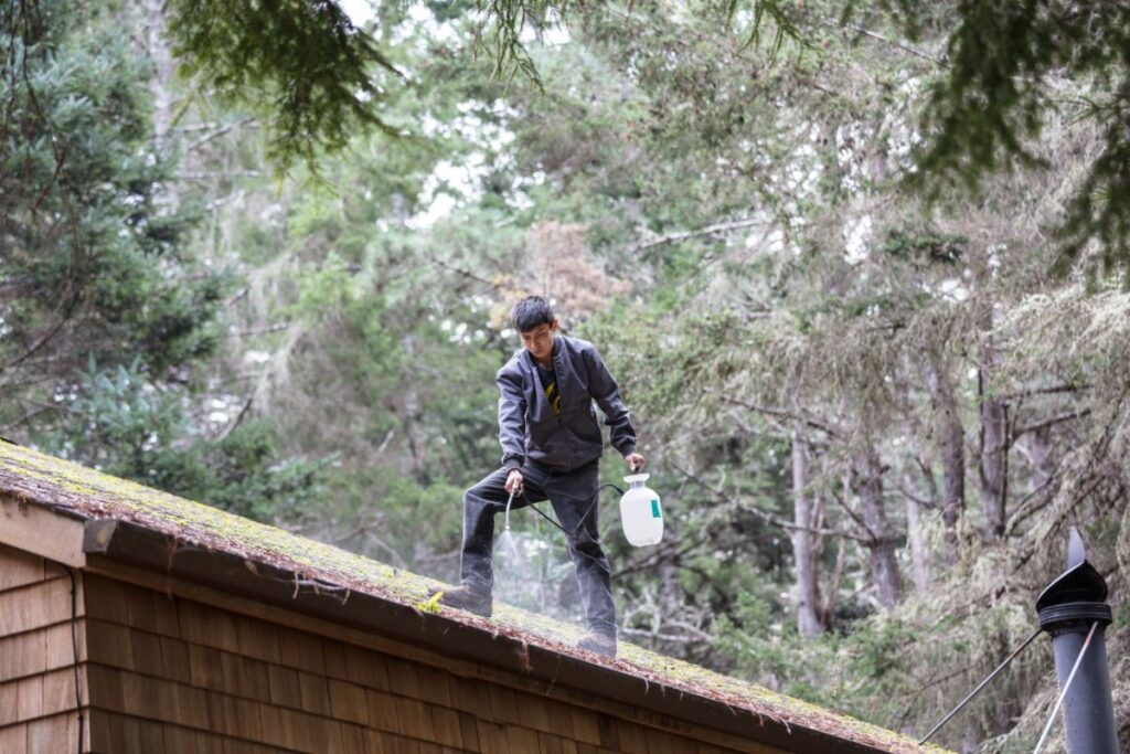 Neglecting Roof Cleaning