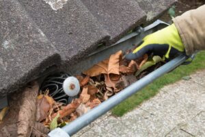 Professional Gutter Cleaning