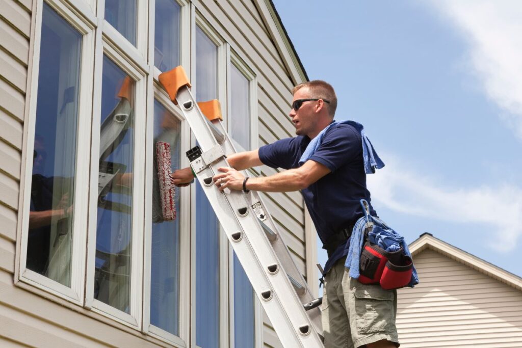 Professional House Washing