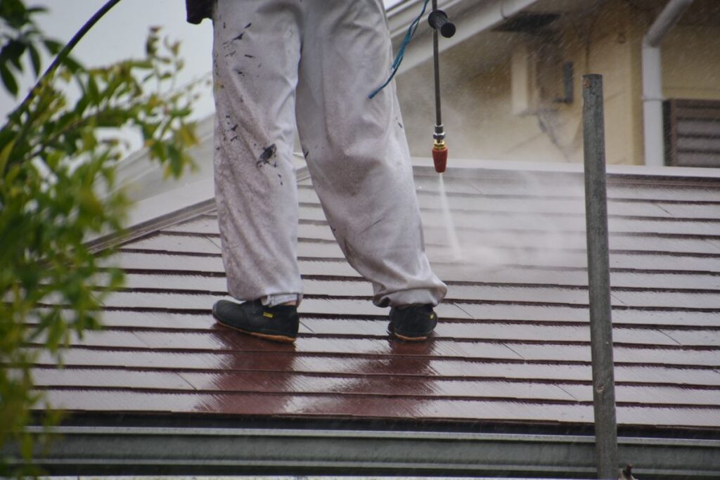 Professional Roof Cleaning