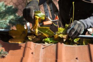 Regular Gutter Cleaning