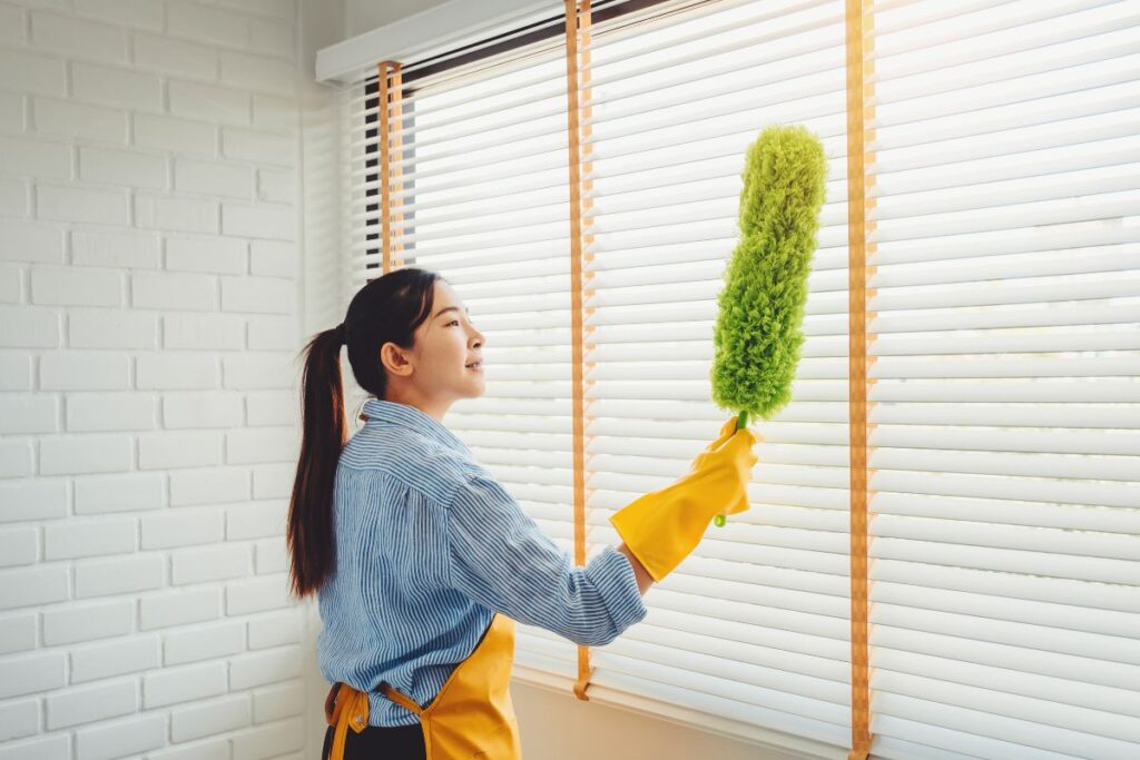 Regular Window Cleaning